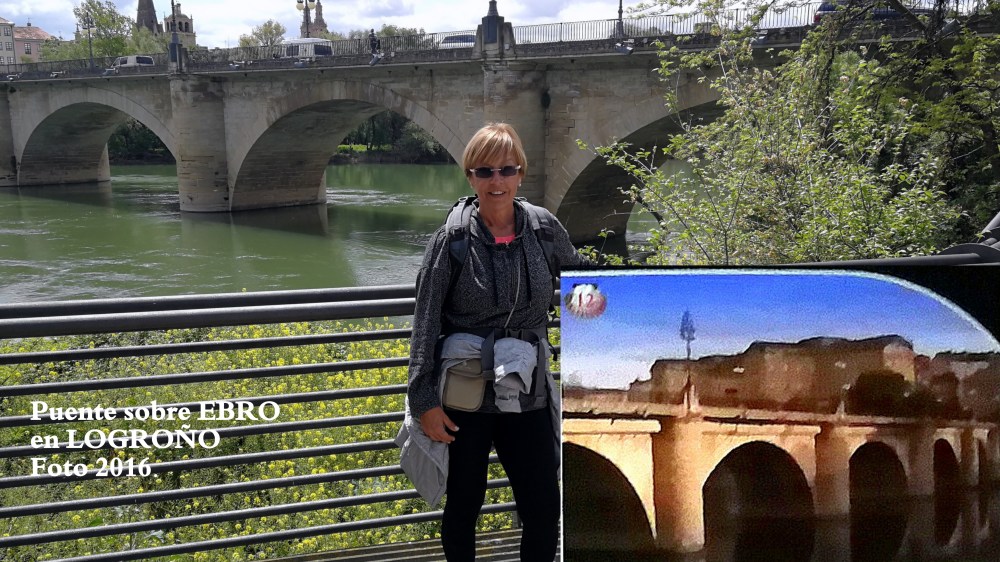 12.Puente en LOGROÑO Río EBRO