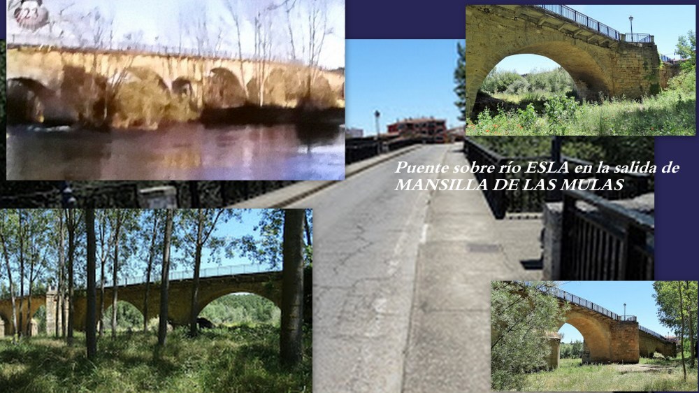 23.puente sobre ESLA en MANSILLA DE LAS MULAS